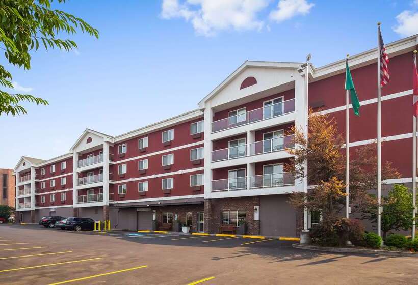 酒店 Best Western Plus City Center