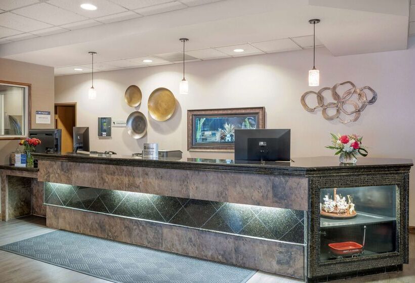 酒店 Best Western Plus City Center