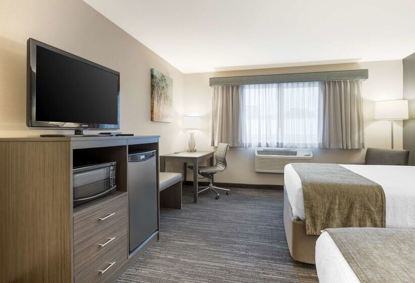 酒店 Best Western Plus City Center