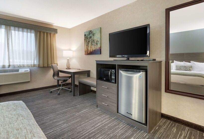 酒店 Best Western Plus City Center