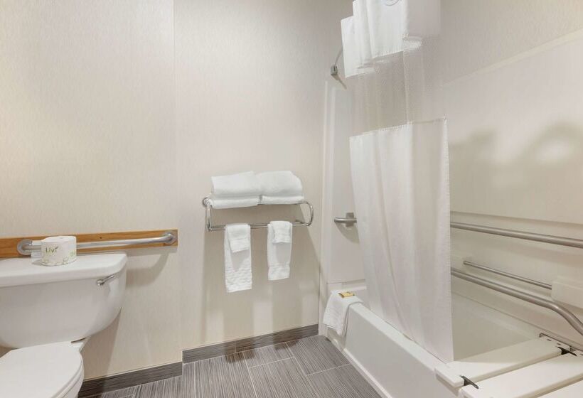 酒店 Best Western Plus City Center