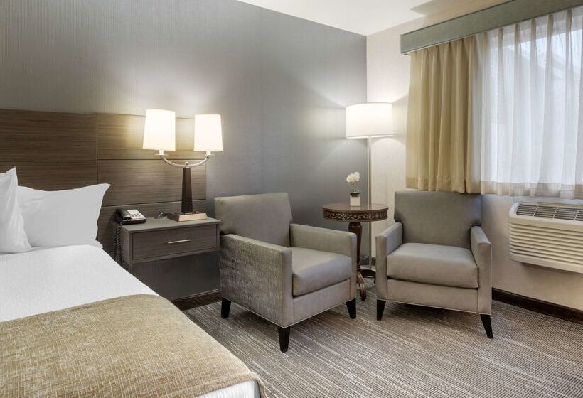 酒店 Best Western Plus City Center