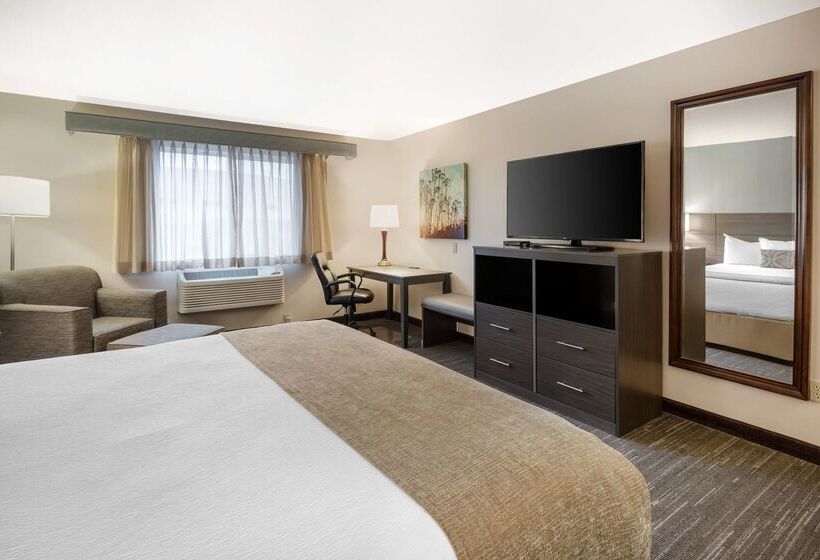 酒店 Best Western Plus City Center