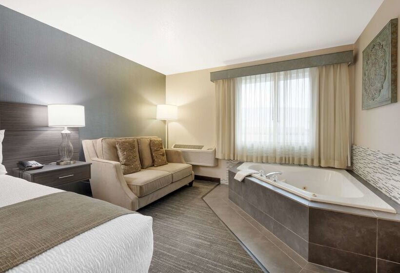 酒店 Best Western Plus City Center