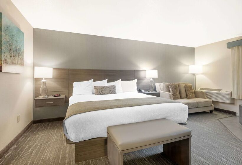 酒店 Best Western Plus City Center