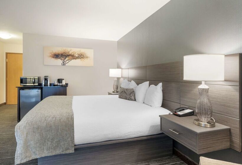 酒店 Best Western Plus City Center