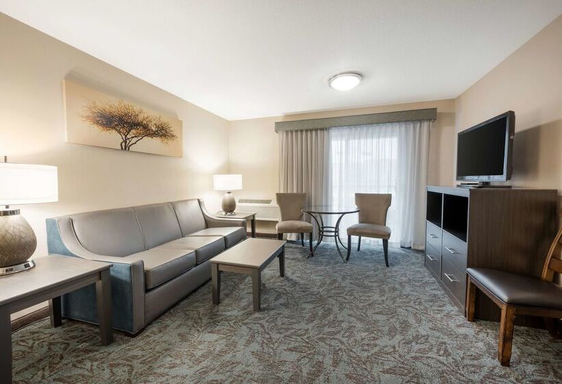 酒店 Best Western Plus City Center