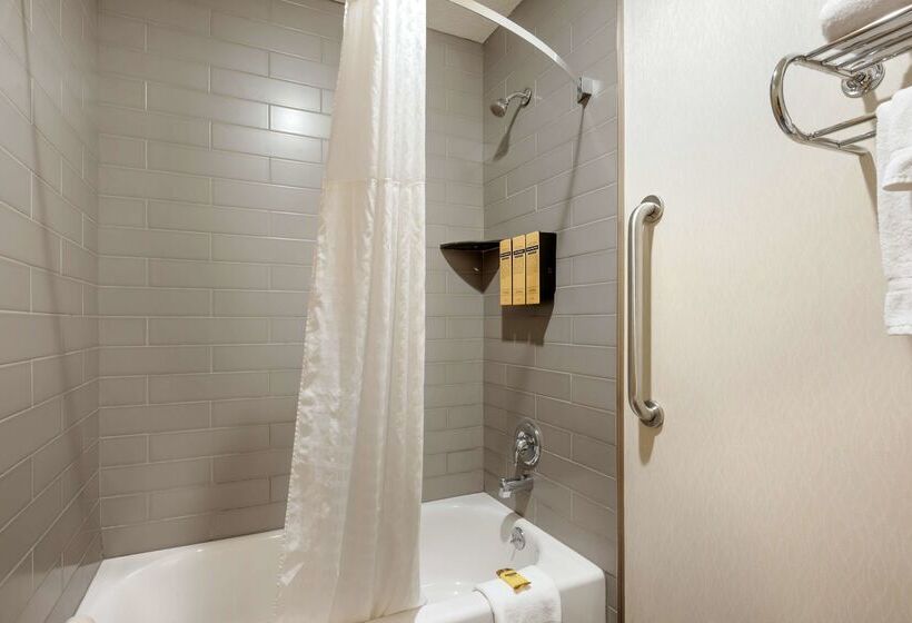 酒店 Best Western Plus City Center