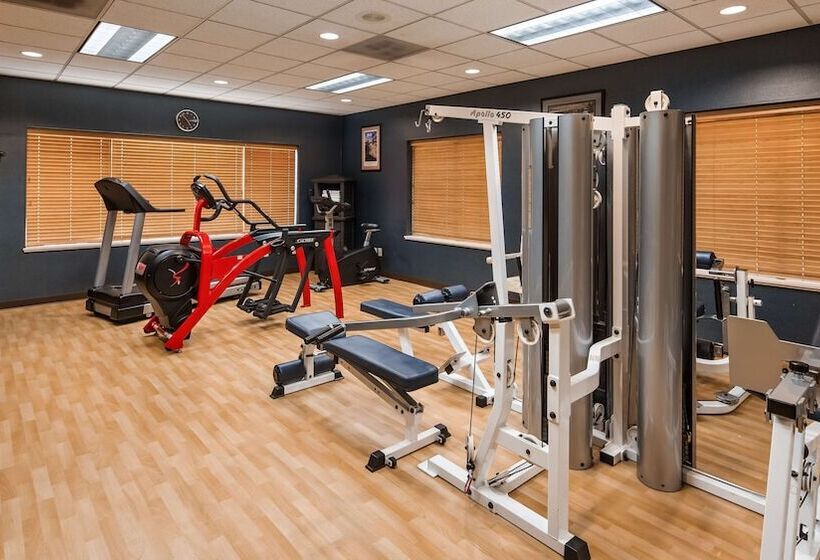 酒店 Best Western Plus City Center