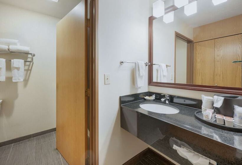 酒店 Best Western Plus City Center