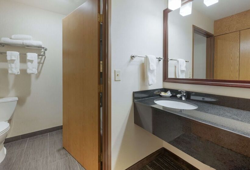 酒店 Best Western Plus City Center