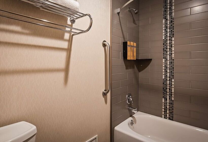 酒店 Best Western Plus City Center