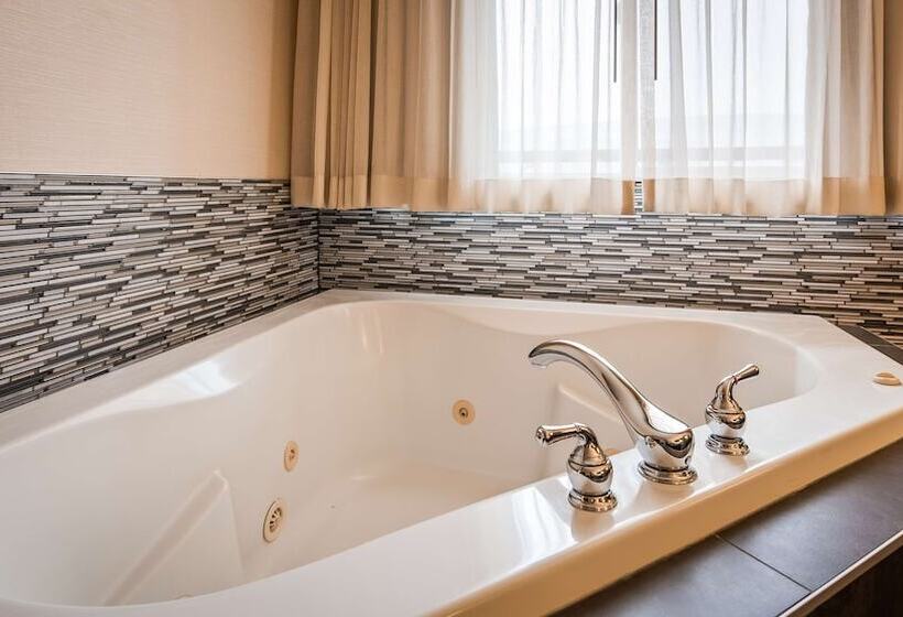 酒店 Best Western Plus City Center