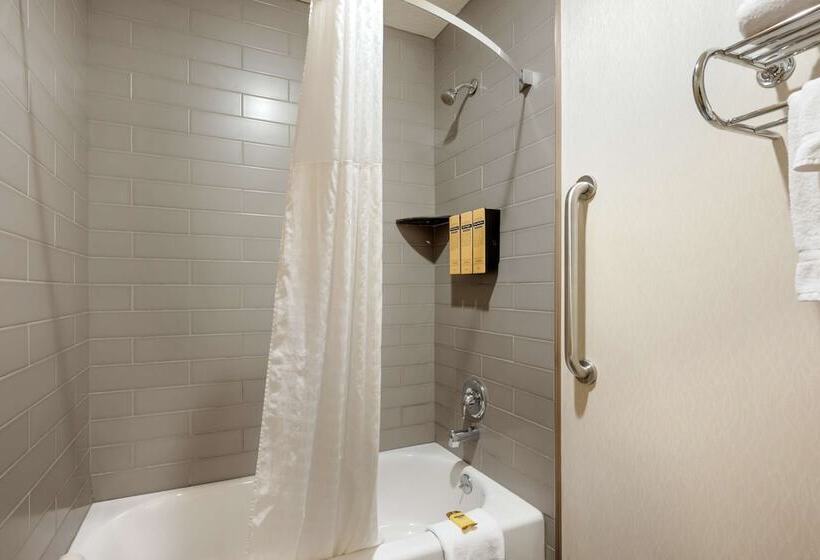 酒店 Best Western Plus City Center