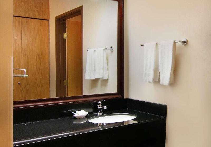 酒店 Best Western Plus City Center