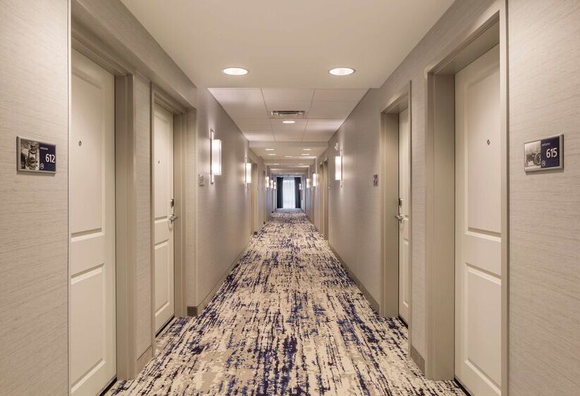 酒店 Hampton Inn & Suites Newport/cincinnati