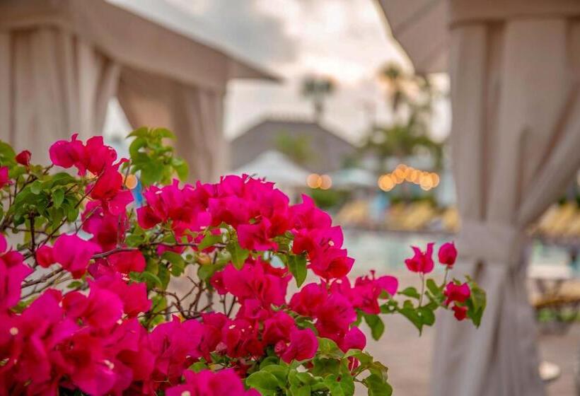 فندق Postcard Inn On The Beach