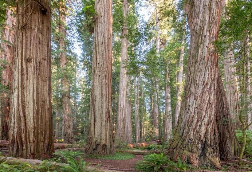 فندق Redwood Inn