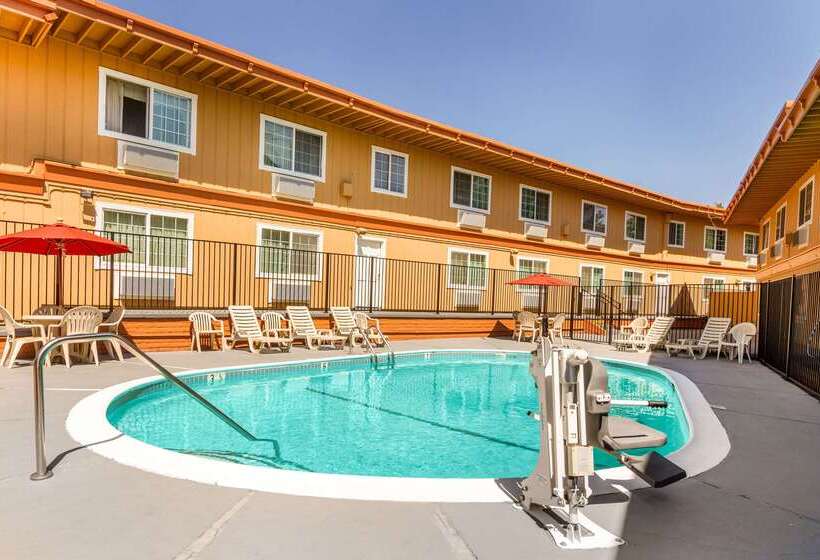 ホテル Rodeway Inn