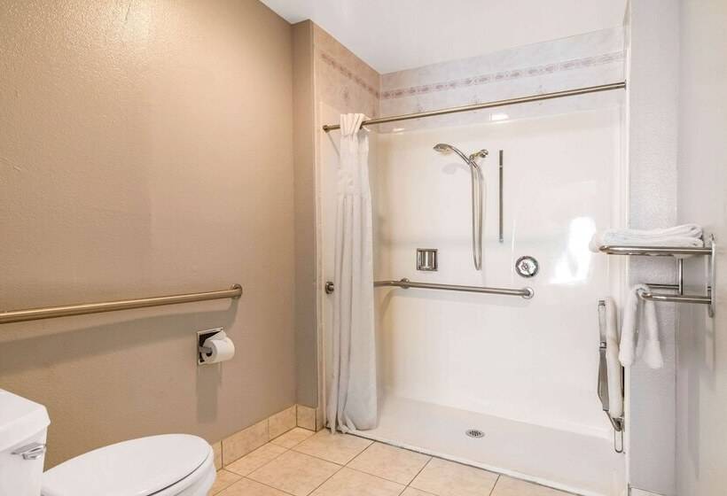 ホテル Rodeway Inn