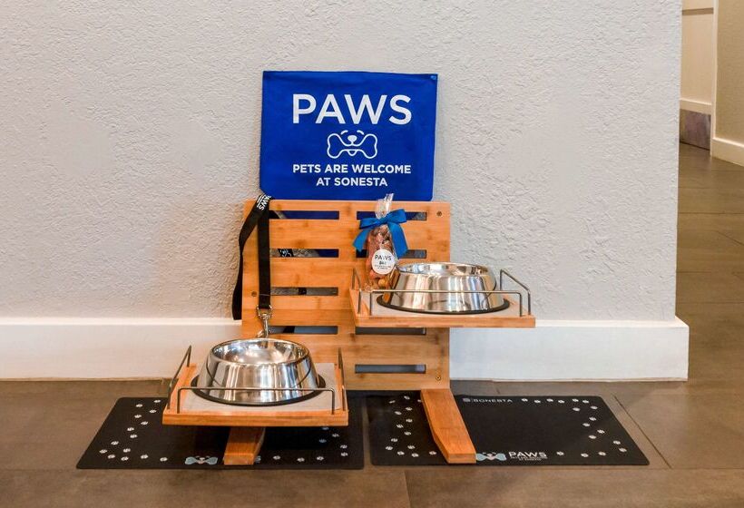 酒店 Sonesta Simply Suites Falls Church