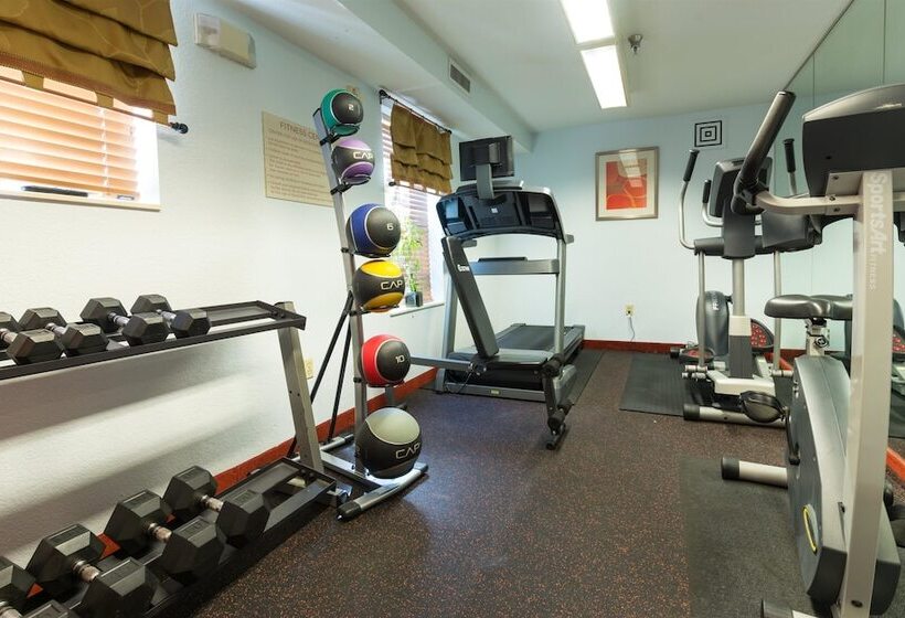 ホテル Dulles Suites