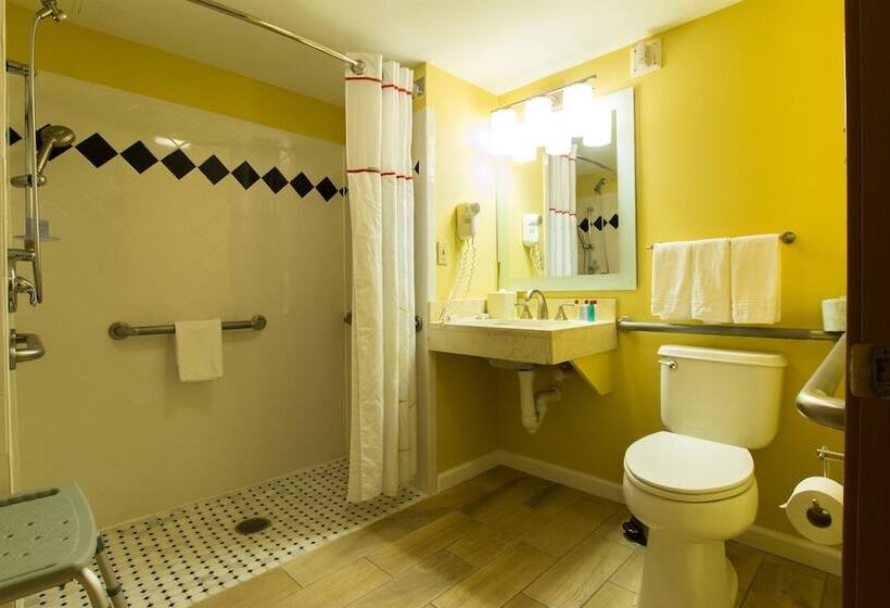 ホテル Dulles Suites