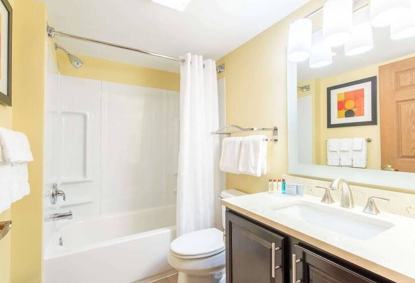 ホテル Dulles Suites