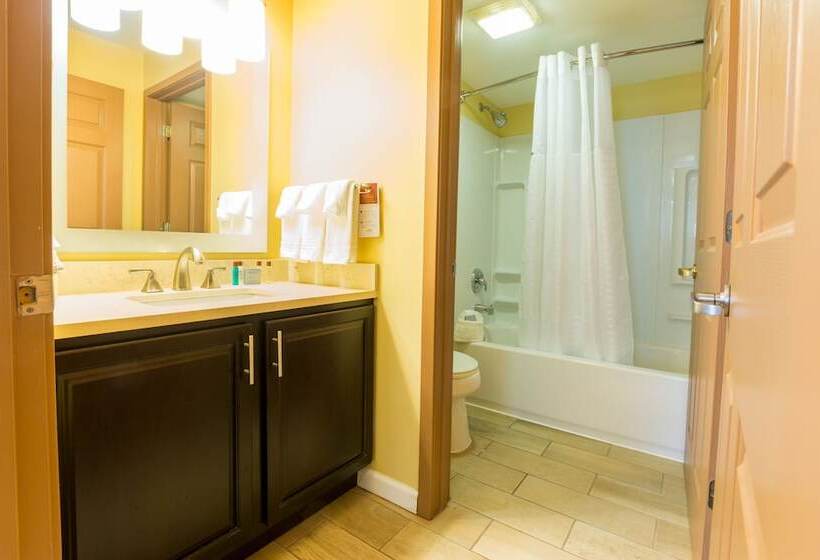 ホテル Dulles Suites