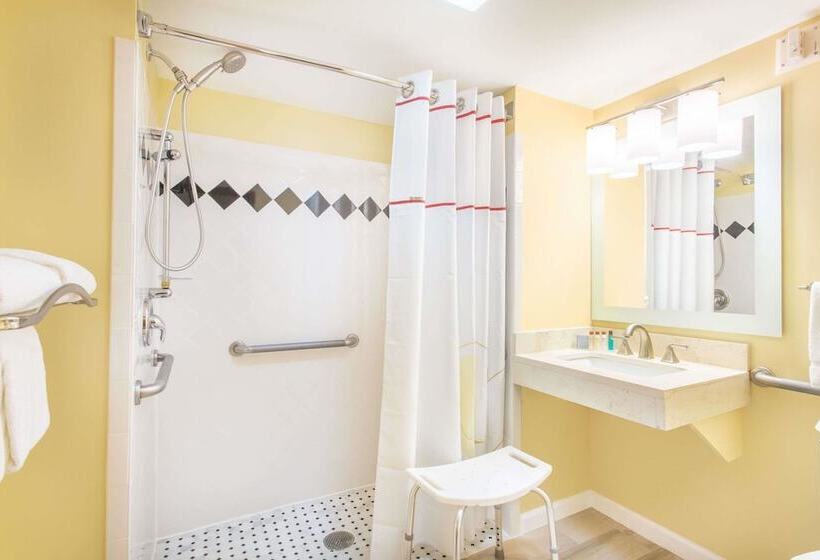 ホテル Dulles Suites