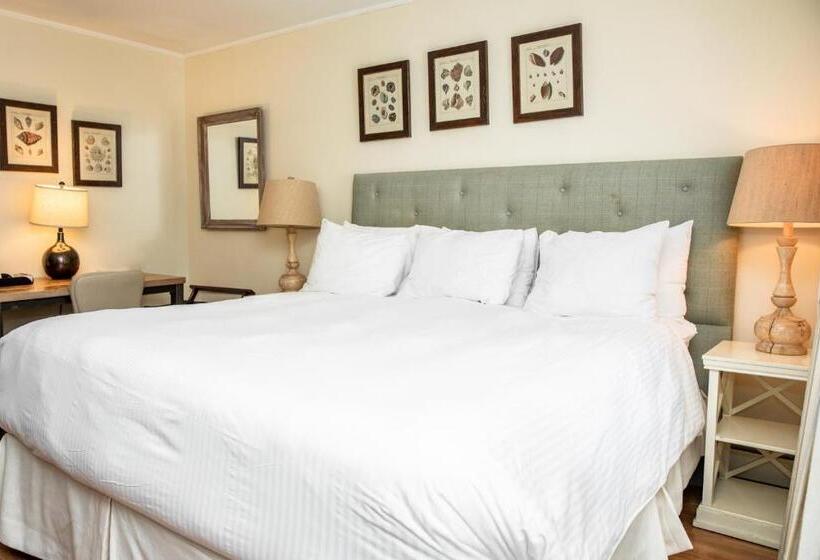 Отель Three Village Inn