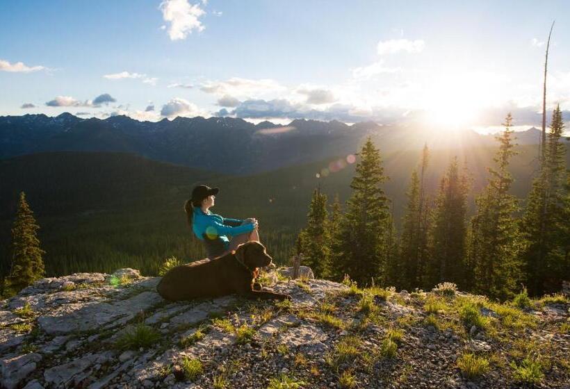 فندق Tivoli Lodge