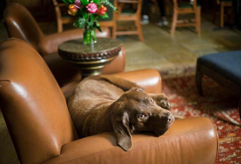 فندق Tivoli Lodge