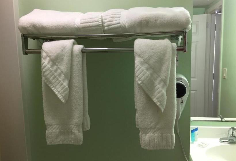 בית מלון כפרי Town House Inn