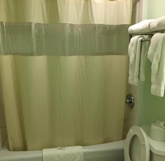 בית מלון כפרי Town House Inn