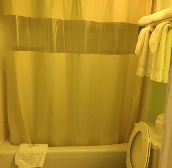 酒店 Town House Inn