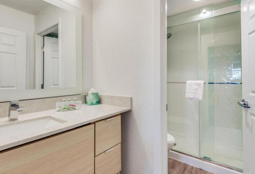 Отель Towneplace Suites Dallas Arlington North