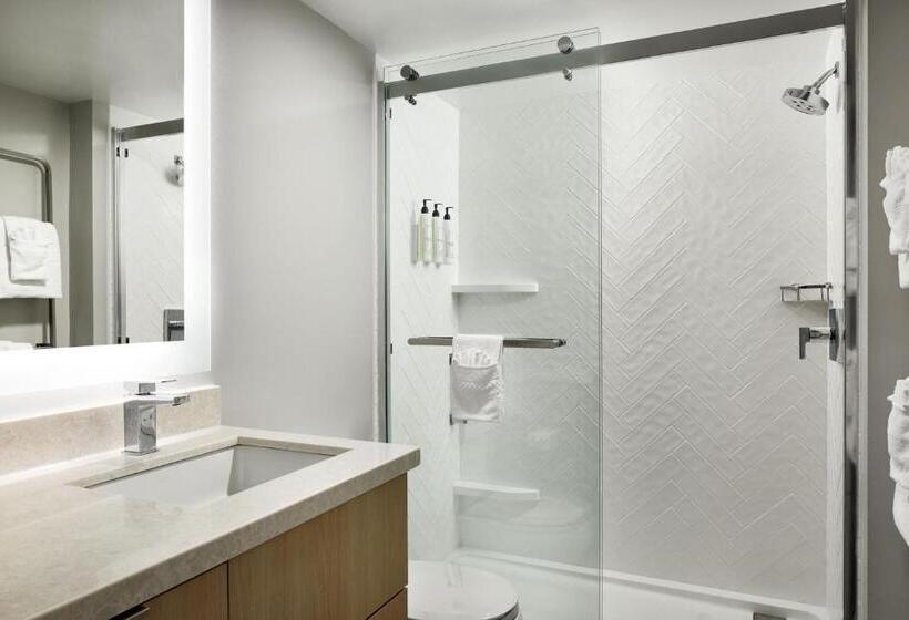 Отель Towneplace Suites Dulles Airport