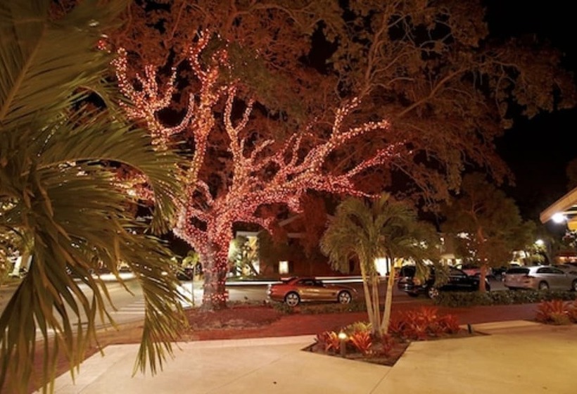 فندق The Capri Inn