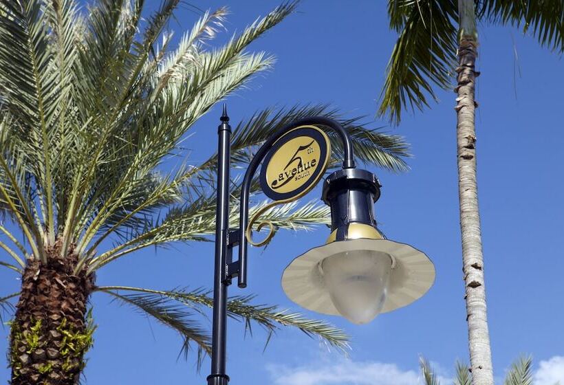 فندق The Capri Inn