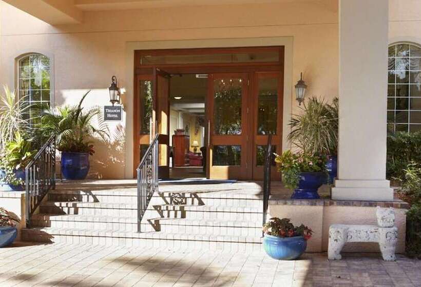 فندق The Capri Inn