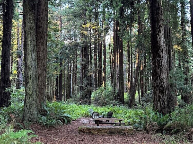 فندق Trinidad Inn