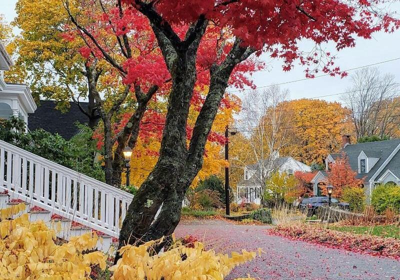 Moseley Cottage Inn And The Town Motel