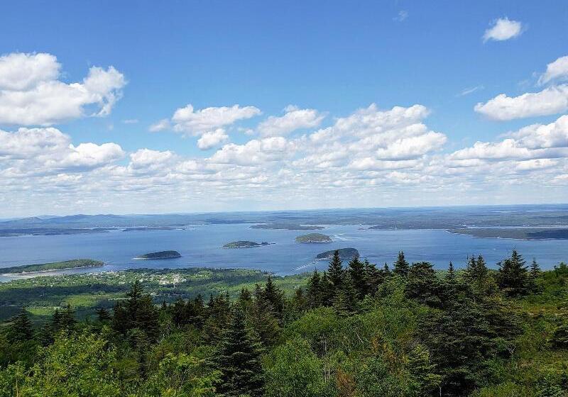 Moseley Cottage Inn And The Town Motel