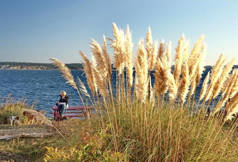 فندق على الطريق Tides Inn & Suites