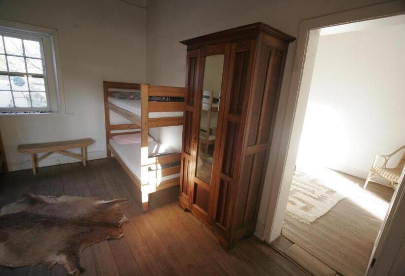 호스텔 The Owlhouse Backpackers