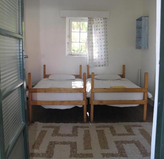 호스텔 The Owlhouse Backpackers