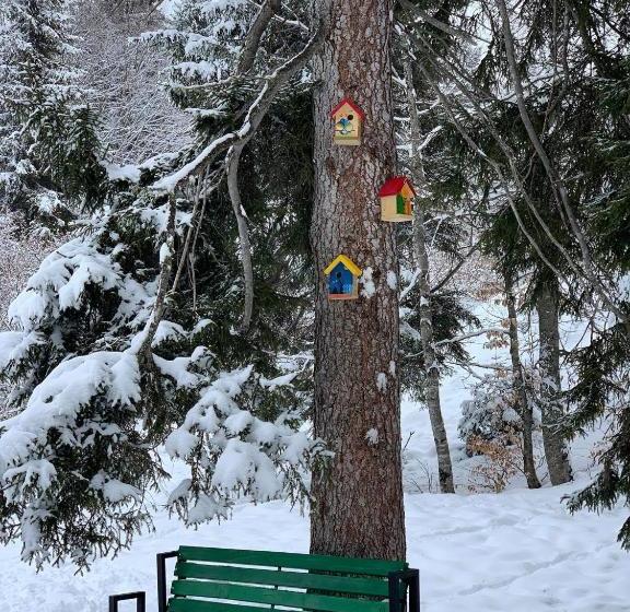 Bakuriani House In Forest