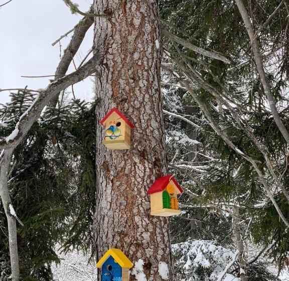 Bakuriani House In Forest