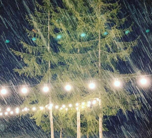 Bakuriani House In Forest